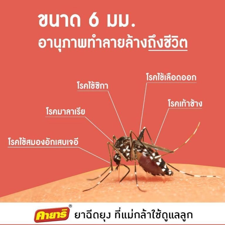  Foto zu ขนาด 6 มม. ยุงลาย อนุภาพทำลายล้างถึงชีวิต - Kayari 