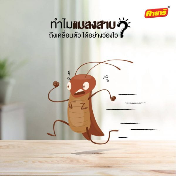 kayari-คายาริ-ทำไม แมลงสาบ ถึงเคลื่อนตัวได้อย่างว่องไว? kayari-คายาริ-ทำไม แมลงสาบ ถึงเคลื่อนตัวได้อย่างว่องไว?