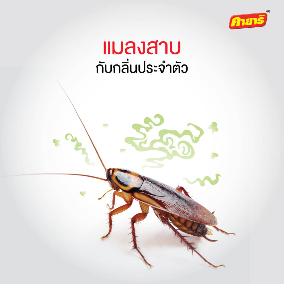 My Image 13